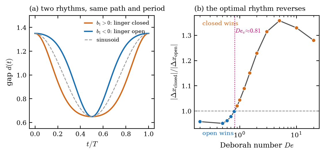 Two panels: the two rhythms with identical range and period; and the speed ratio crossing unity at the critical Deborah number
