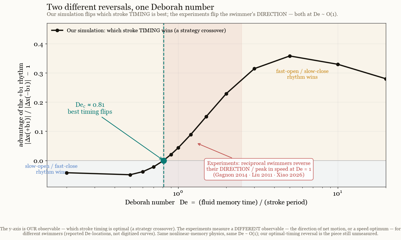 Our theory reversal curve crossing zero at De_c 0.81, with the experimental reversal and optimum band at De around one